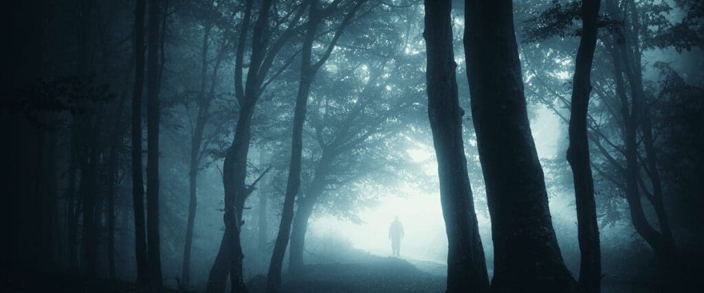 A shadowy figure stands alone in a misty, dense forest, with tall trees surrounding the silhouette. The atmosphere is eerie and mysterious, with low visibility due to the thick fog.