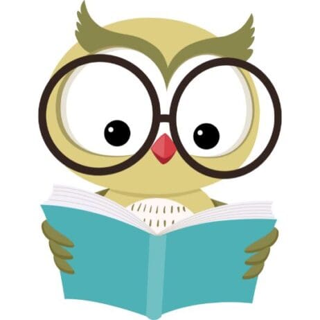 Illustration of a light green owl reading a book, the owl is wearing giant round glasses and has a reddish beak